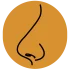 burun estetiği